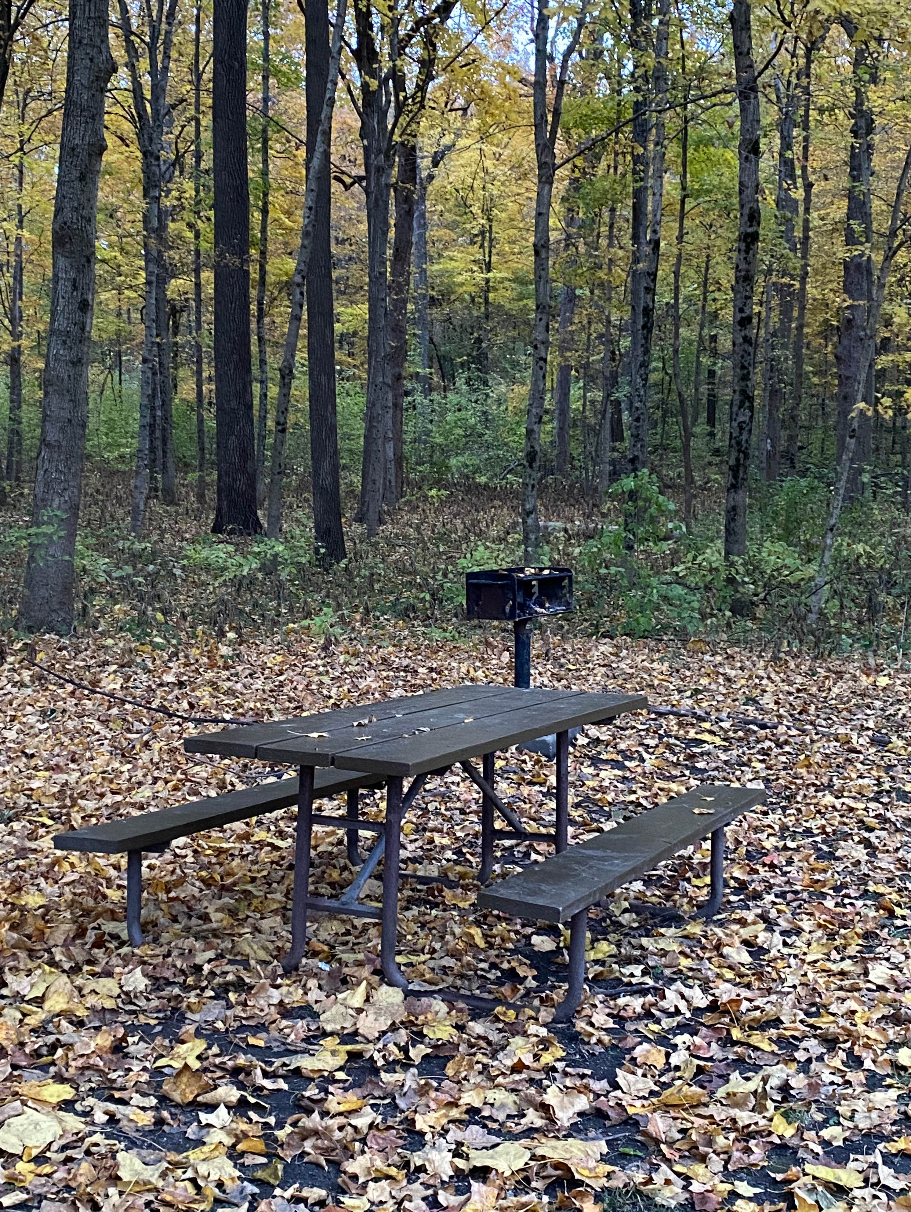 Camper-submitted photo at Silver Springs State Fish and Wildlife Area near Newark, IL