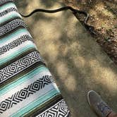 Review photo of Skull Island by Lauren T., January 29, 2026