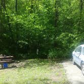 Review photo of Mark Twain National Forest Paddy Creek Recreation Area by Nomadic  E., January 29, 2026