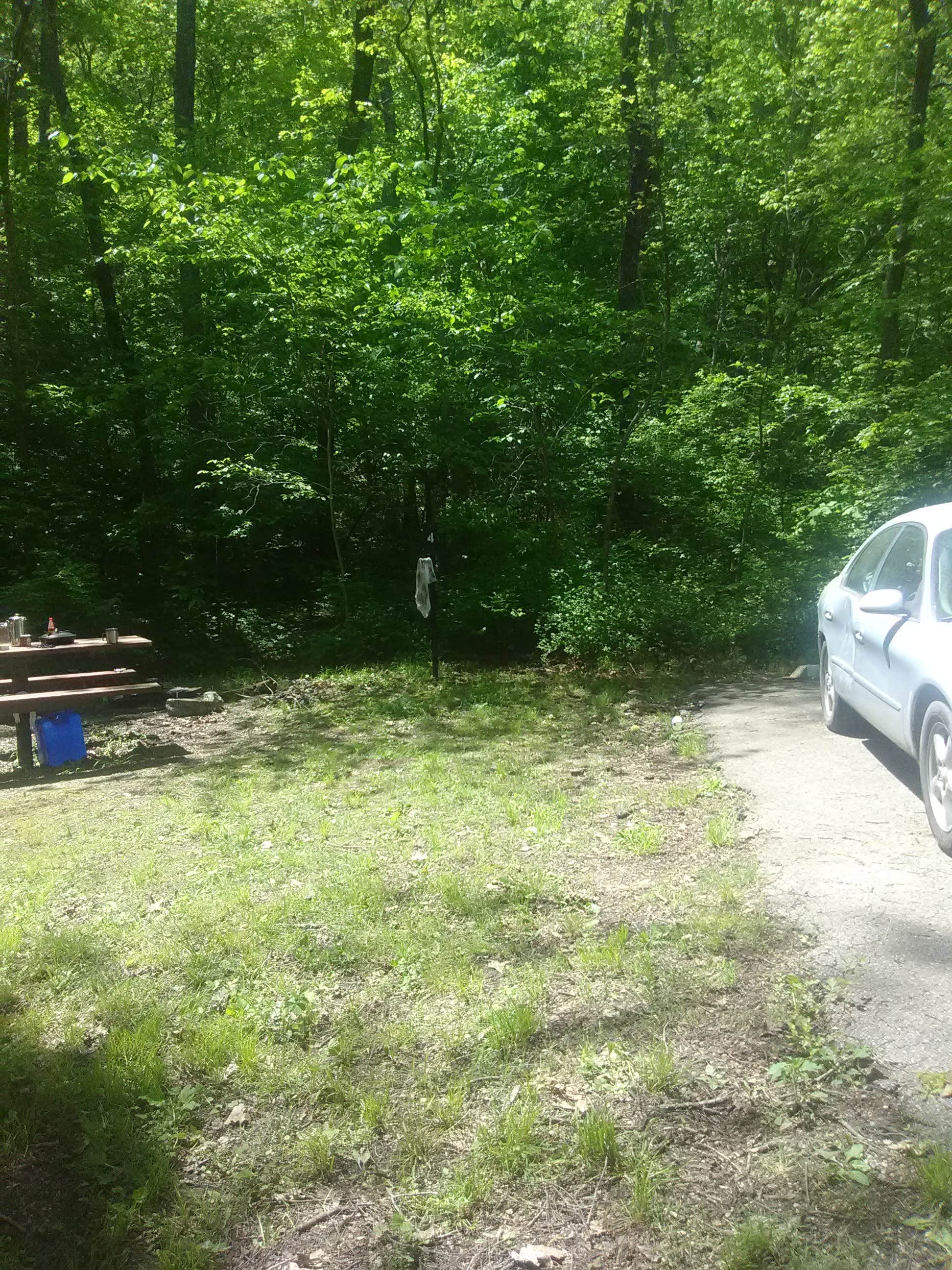 Camper submitted image from Mark Twain National Forest Paddy Creek Recreation Area - 2