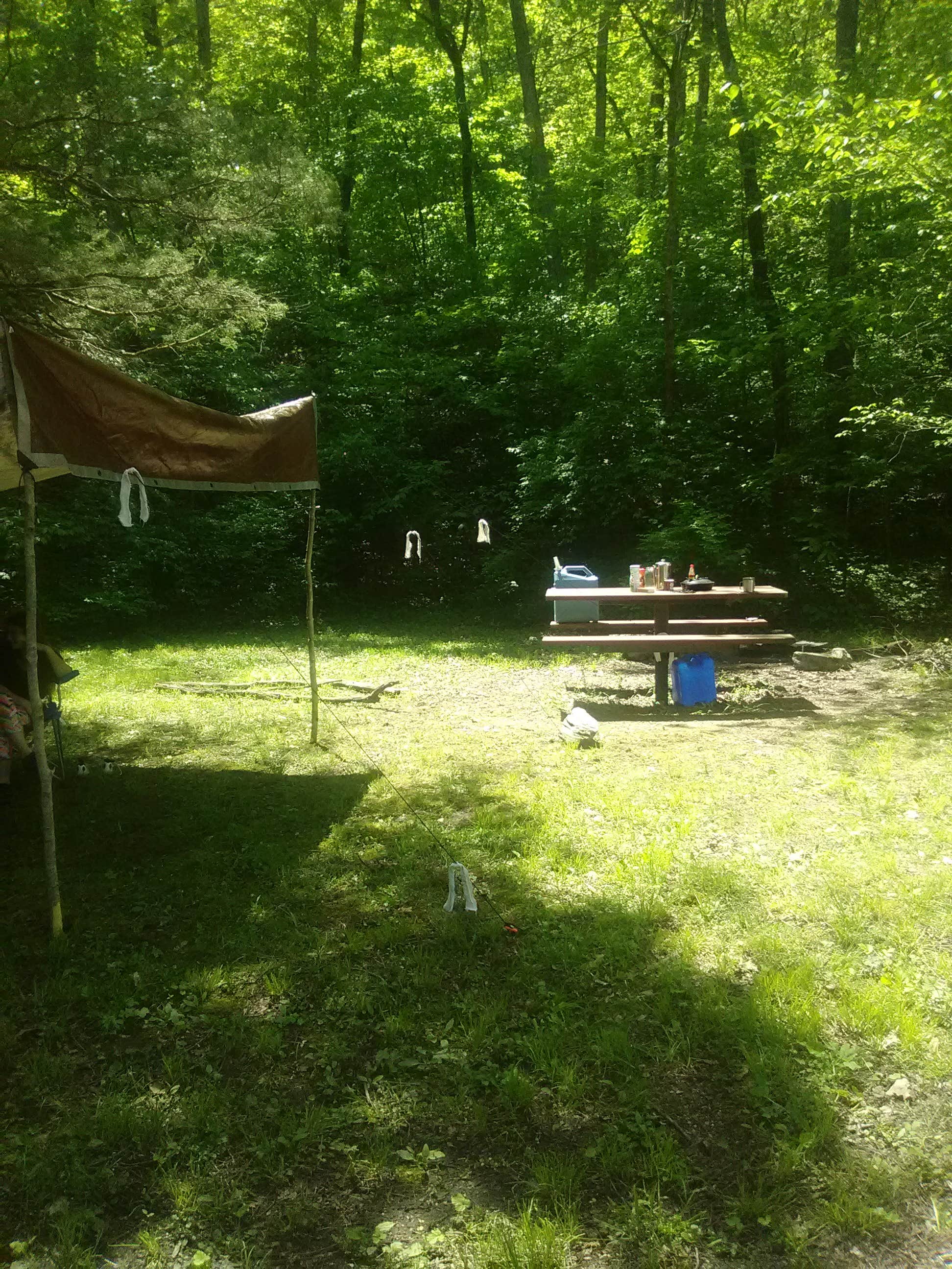 Camping near The Resort at Boiling Springs: Mark Twain National Forest Paddy Creek Recreation Area, Roby, Missouri