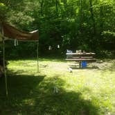 Review photo of Mark Twain National Forest Paddy Creek Recreation Area by Nomadic  E., January 29, 2026