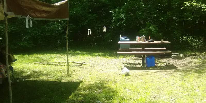 Camper submitted image from Mark Twain National Forest Paddy Creek Recreation Area