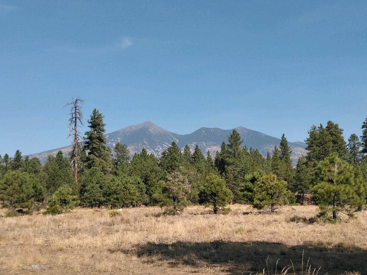 Camper-submitted photo at Fort Valley Dispersed Camping near Bellemont, AZ
