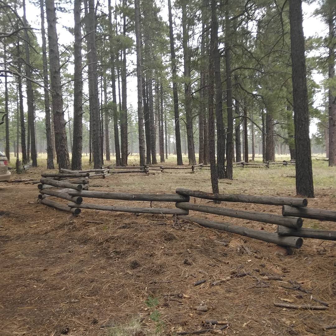 Camping near Freidlein Prairie Dispersed Camping: Fort Valley Dispersed Camping, Flagstaff, Arizona