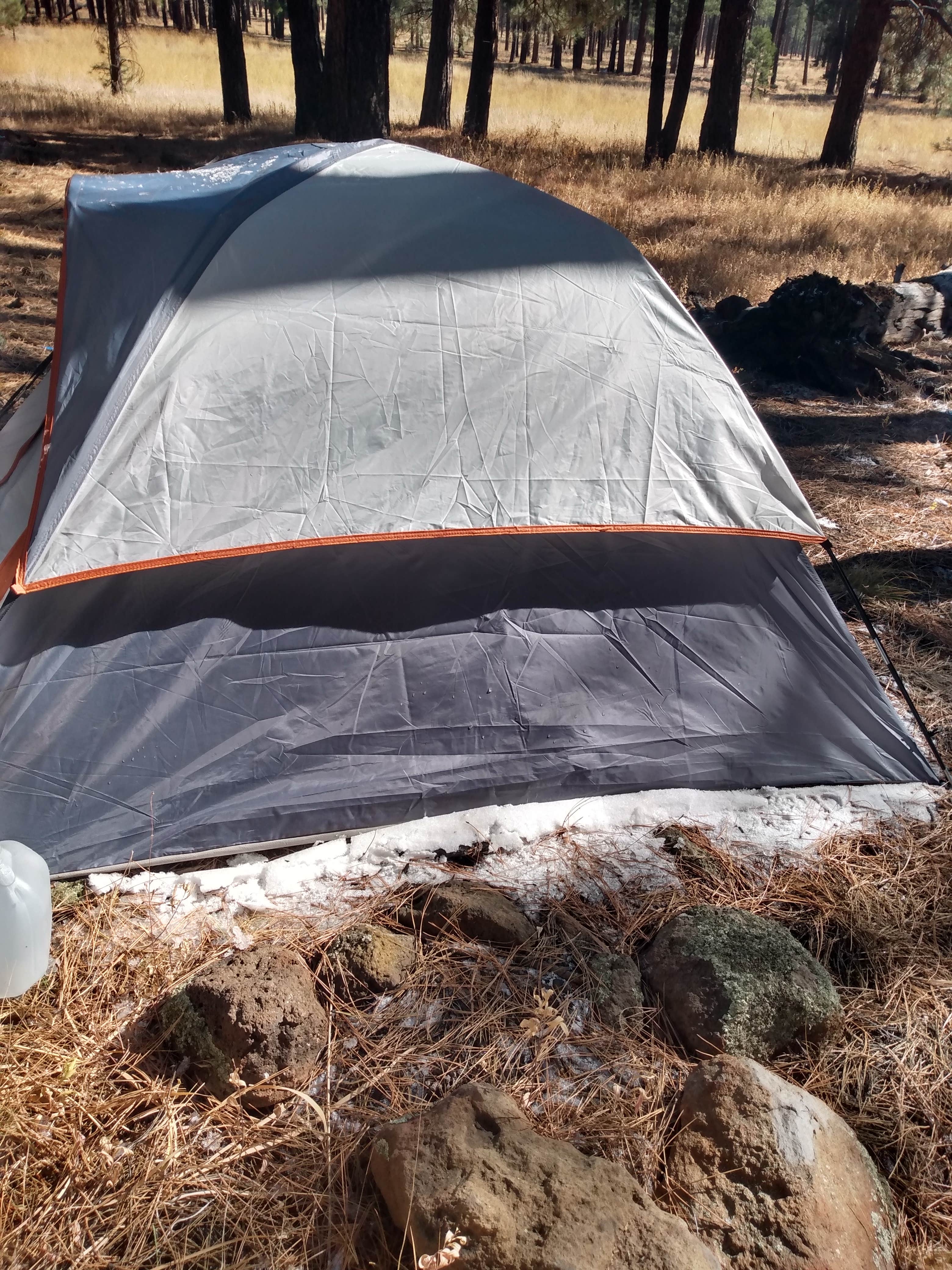 Camping near Freidlein Prairie Dispersed Camping: Shultz Creek Trailhead Dispersed, Flagstaff, Arizona