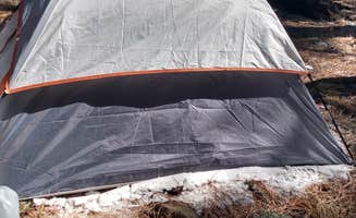 Nomadic E.'s photo at Shultz Creek Trailhead Dispersed near Flagstaff, AZ