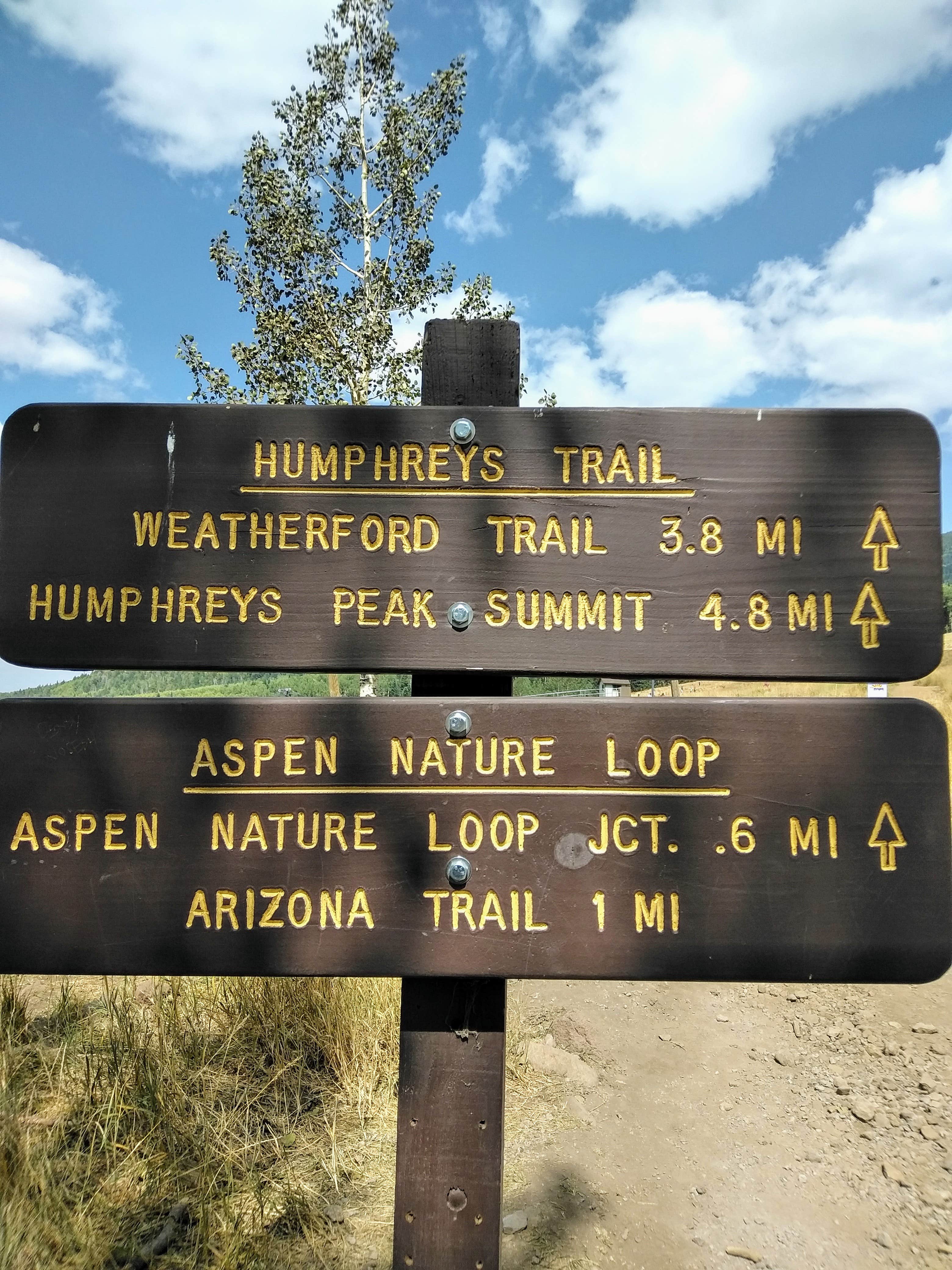 Camper submitted image from Shultz Creek Trailhead Dispersed - 5