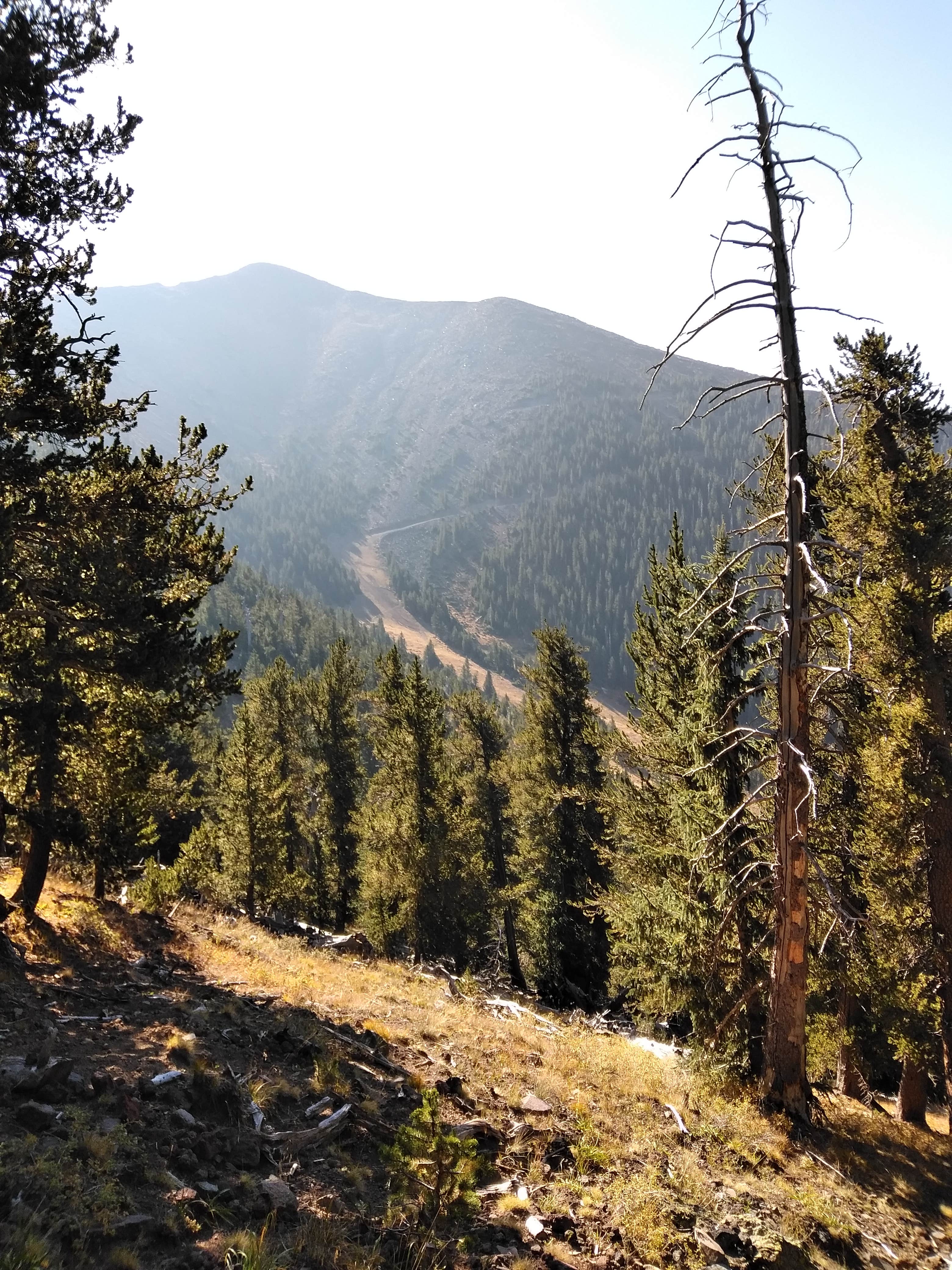 Camping near Two Guns Ghost Town: Walnut Canyon USFS Dispersed Camping, Flagstaff, Arizona