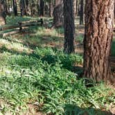 Review photo of Marshall Lake by Nomadic  E., January 29, 2026