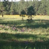 Review photo of Marshall Lake by Nomadic  E., January 29, 2026