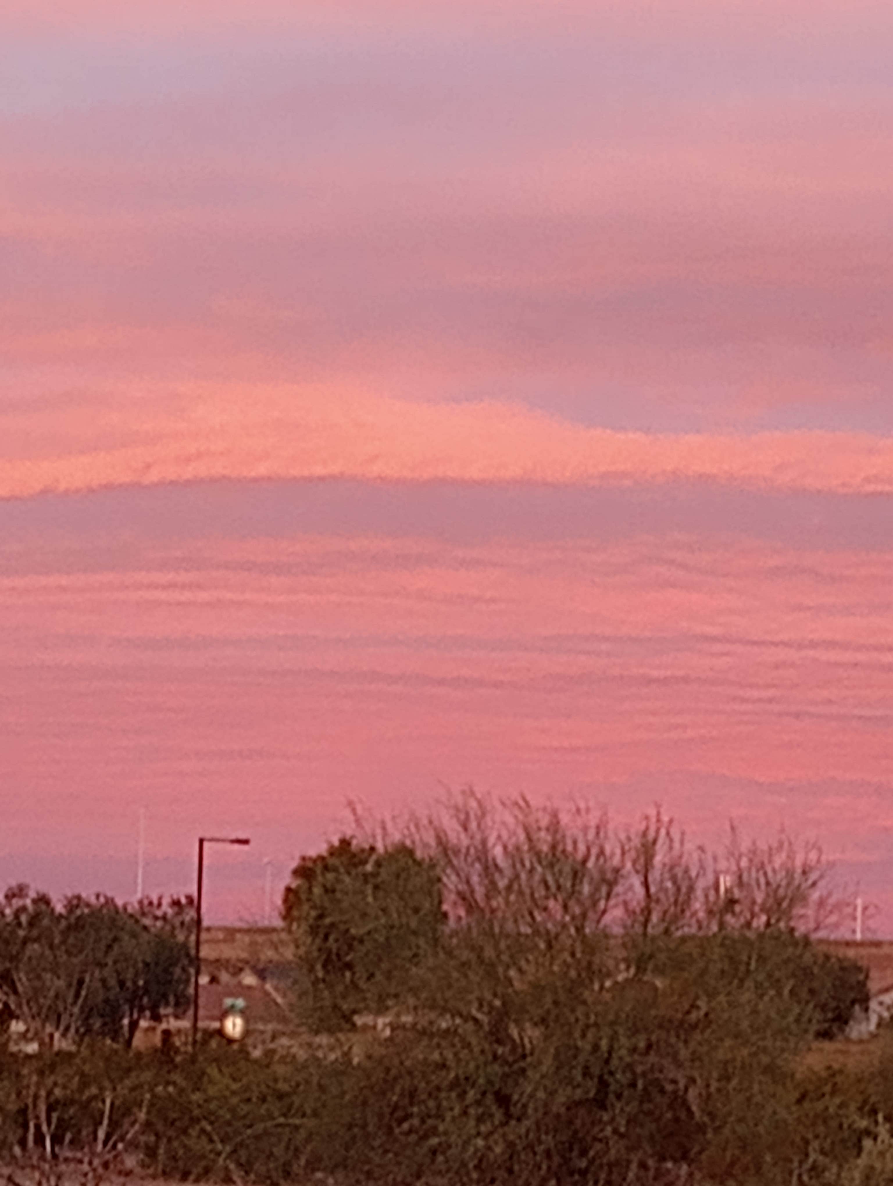 Camper-submitted photo at Maddock Road Dispersed - AZ State Trust Land near Wittmann, AZ