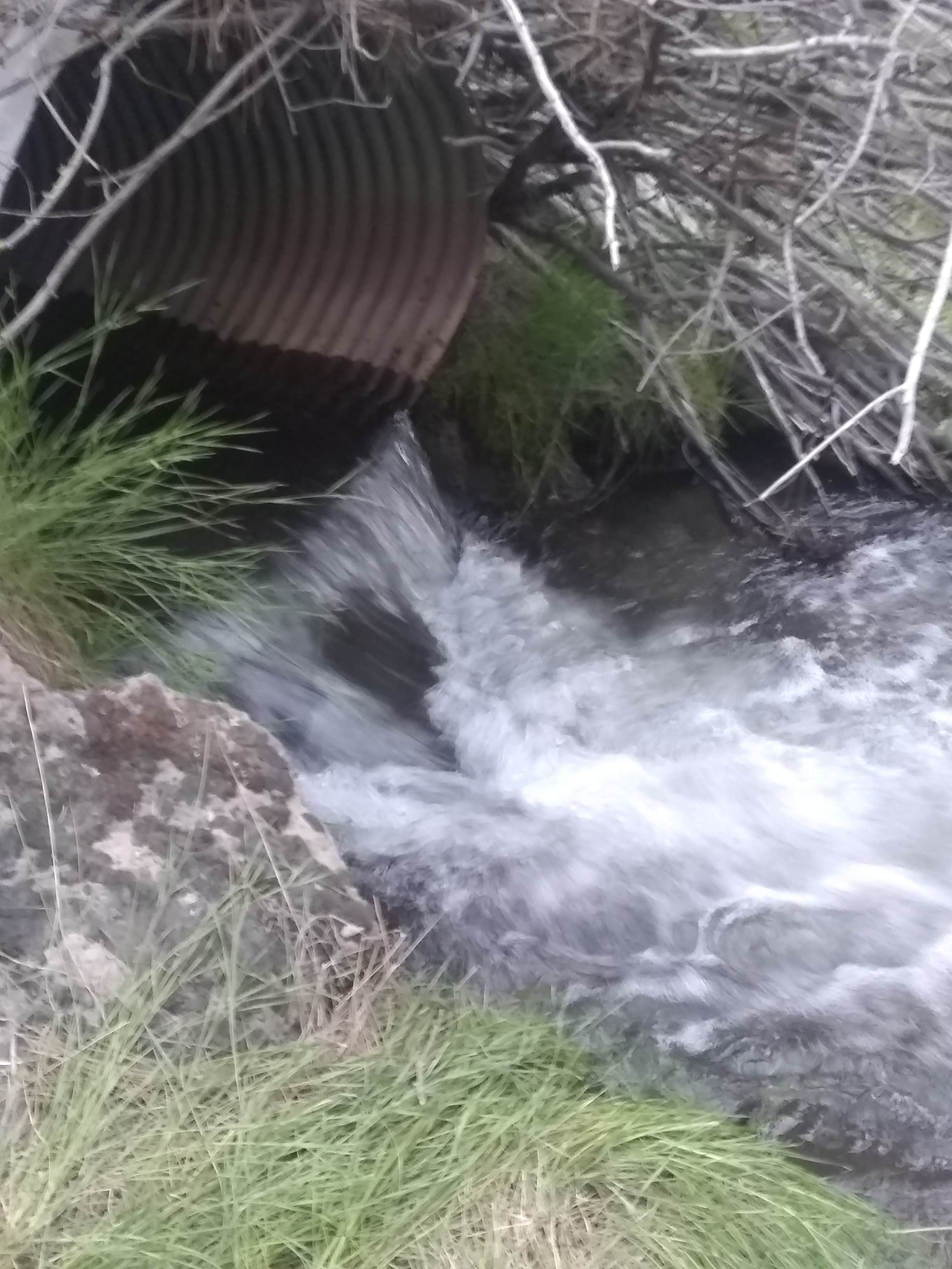 Camper submitted image from Hat Creek Dispersed - 5