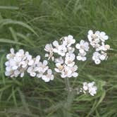 Review photo of Hat Creek Dispersed by Nomadic  E., January 30, 2026