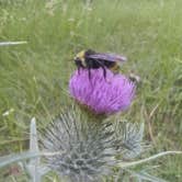 Review photo of Hat Creek Dispersed by Nomadic  E., January 30, 2026