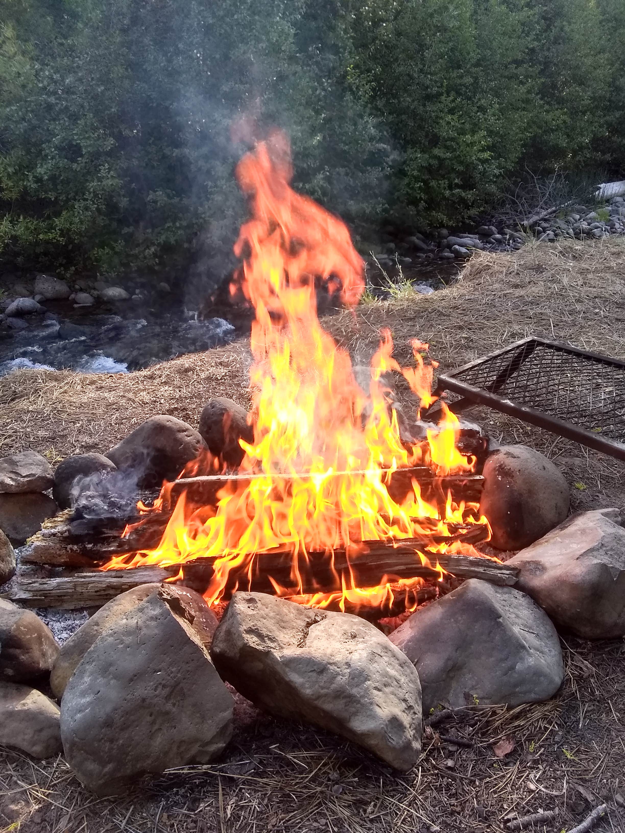 Camper submitted image from Hat Creek Dispersed - 1