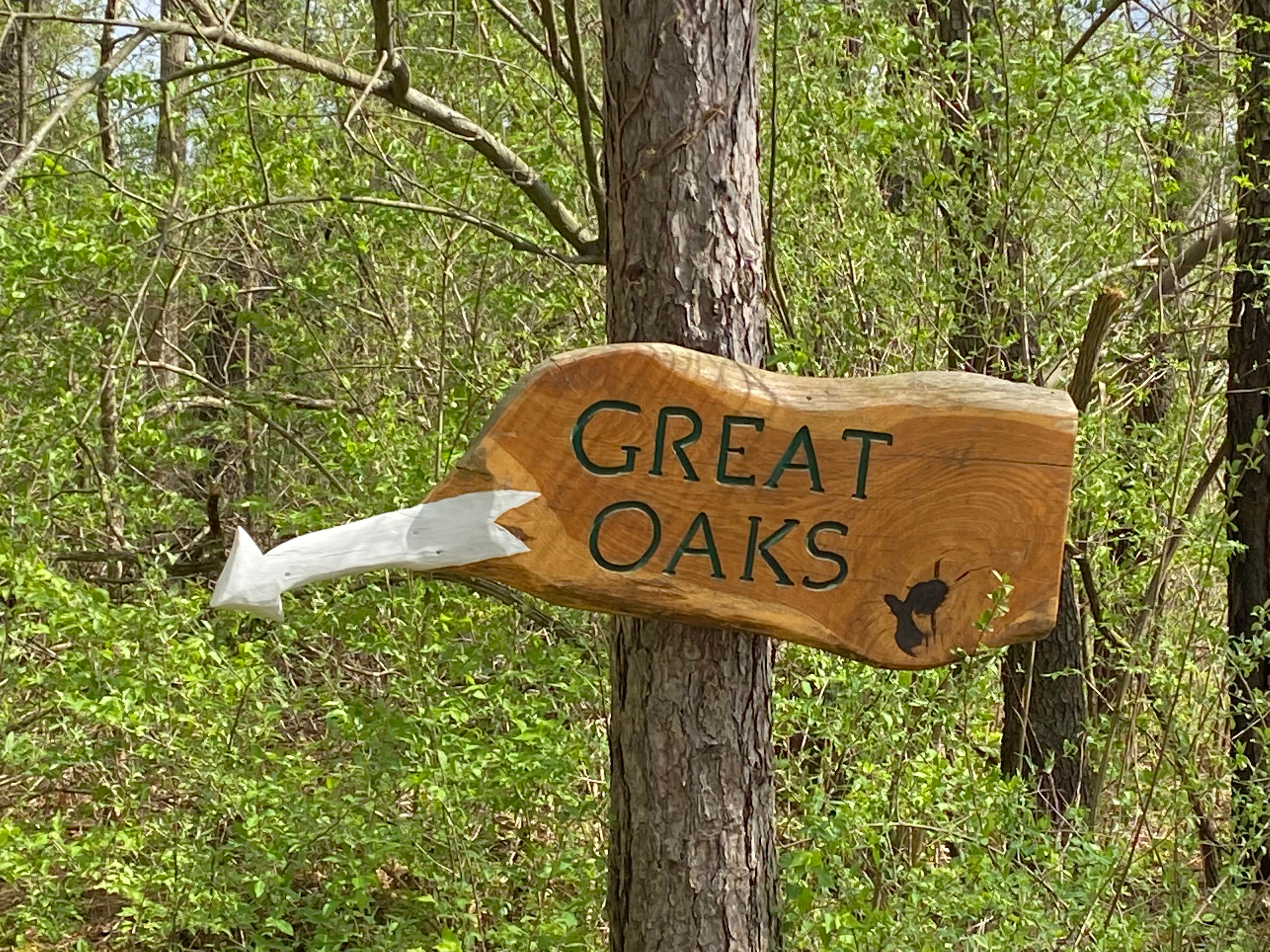 Camper submitted image from Great Oaks Camp - 4