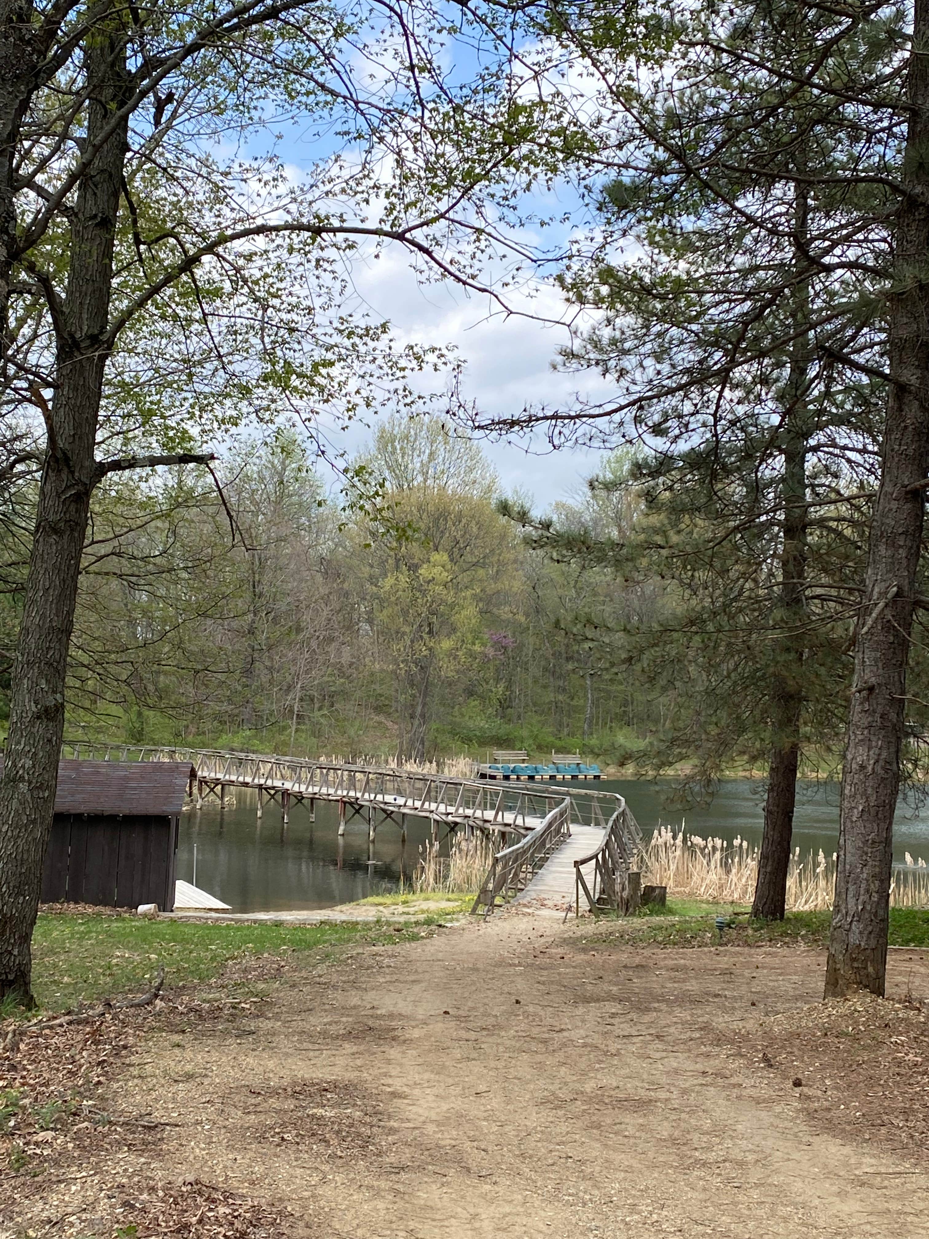 Camper submitted image from Great Oaks Camp - 5