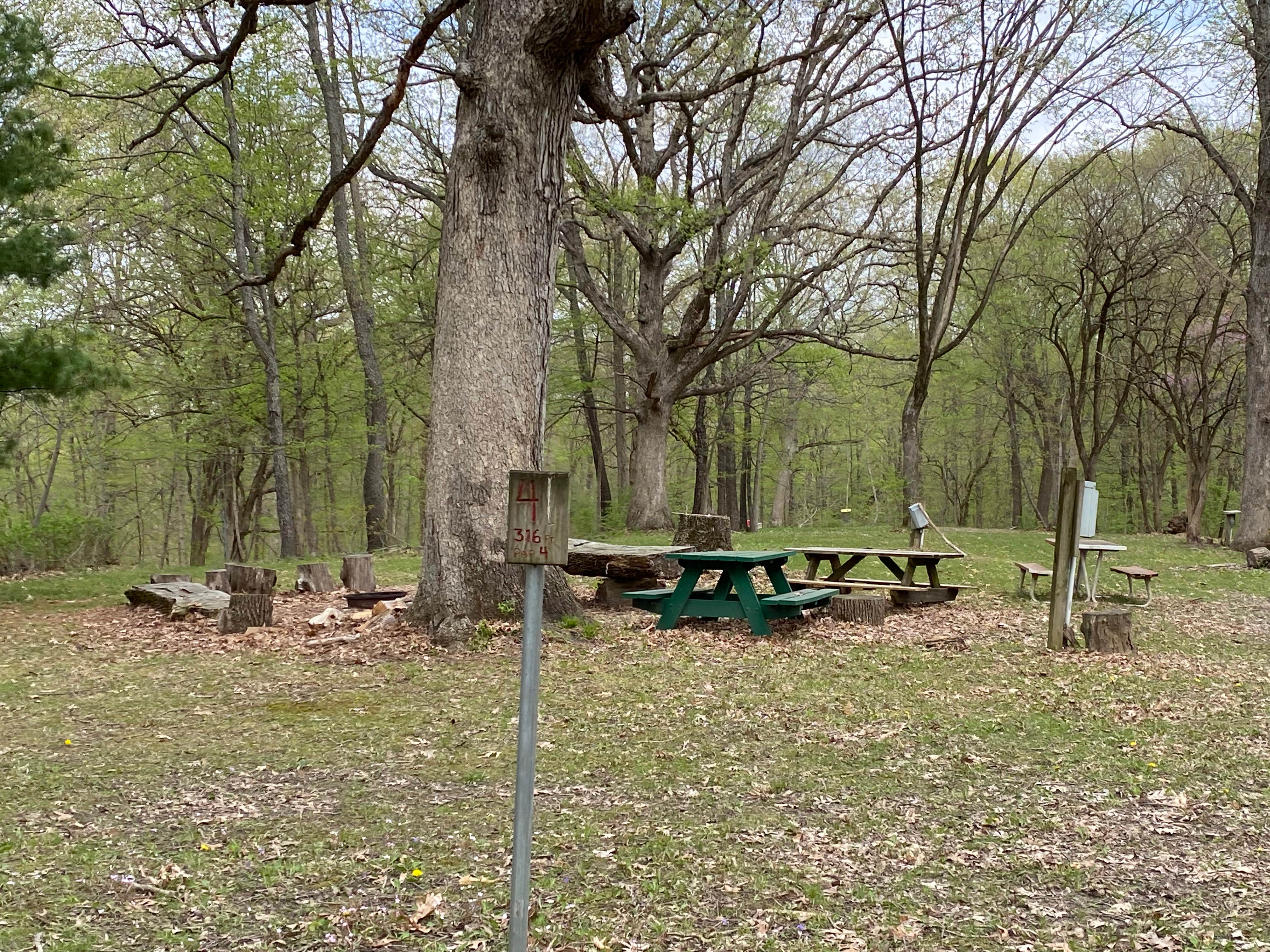 Camper-submitted photo at Great Oaks Camp near Mossville, IL