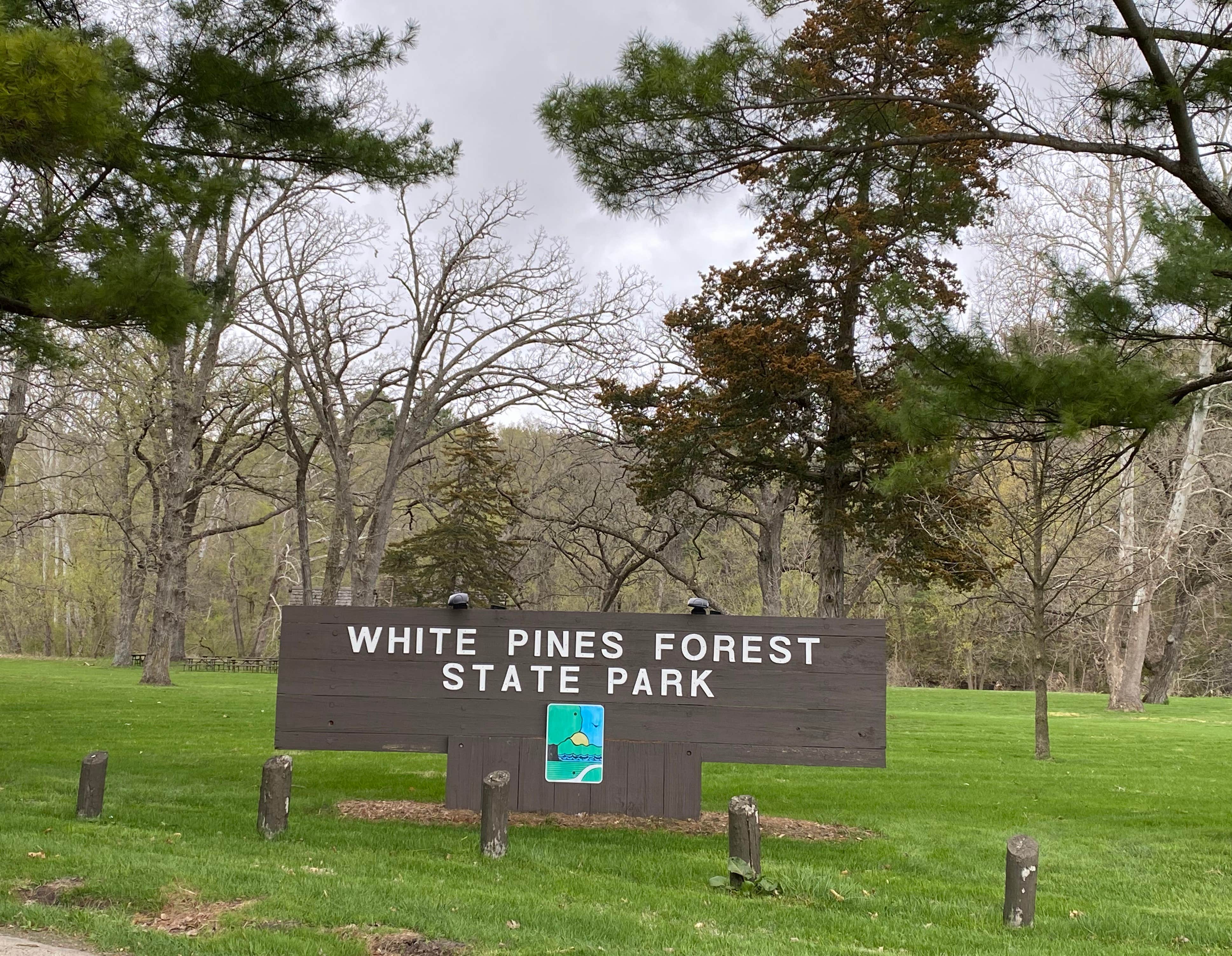 Camper-submitted photo at White Pines Forest State Park - Fox Canyon Youth Campground near Apple River, IL