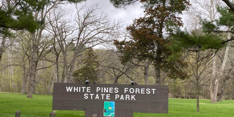 Camper submitted image from White Pines Forest State Park - Fox Canyon Youth Campground