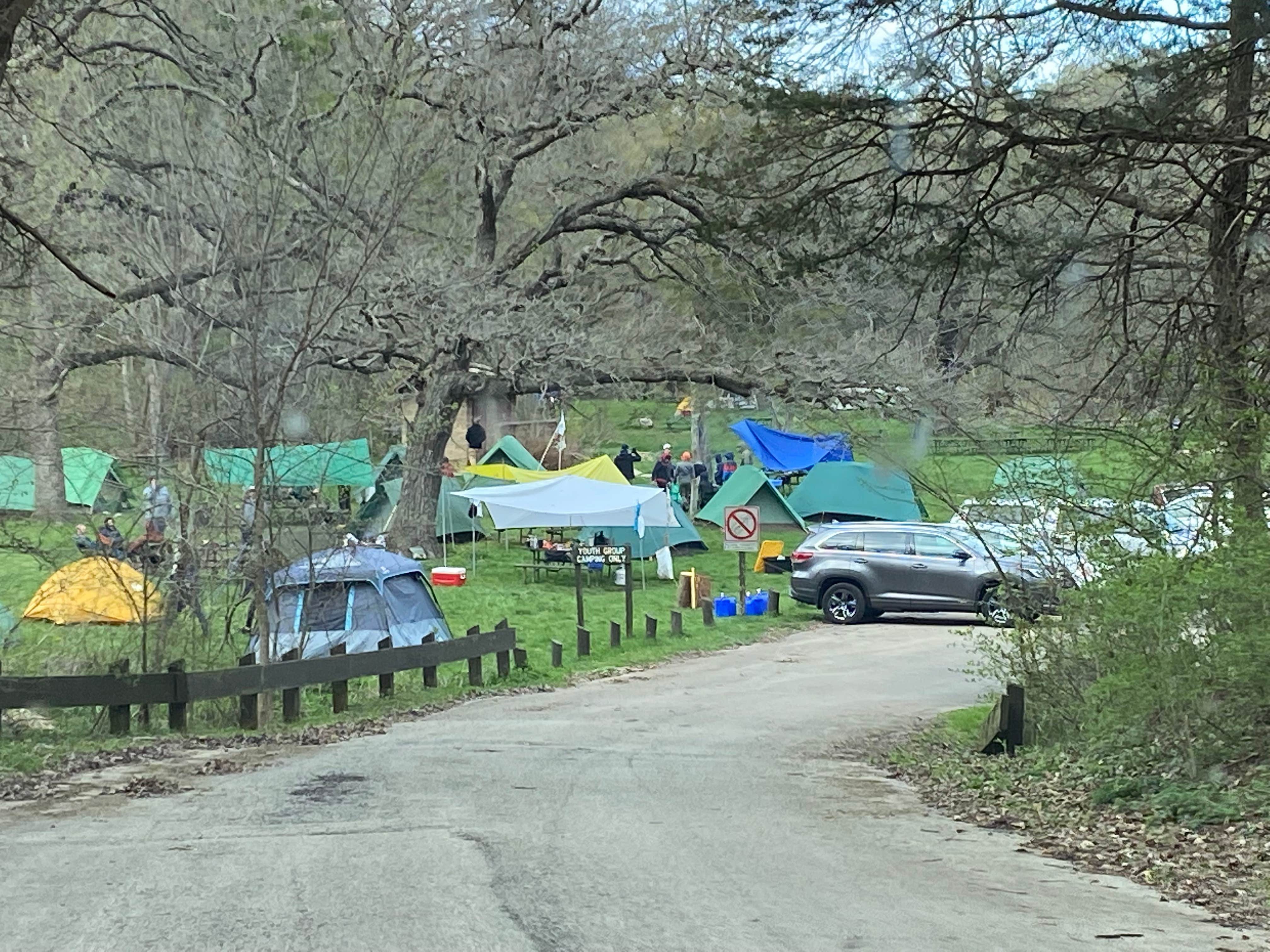 Stuart K.'s photo of tent camping at White Pines Forest State Park - Fox Canyon Youth Campground near Apple River, IL