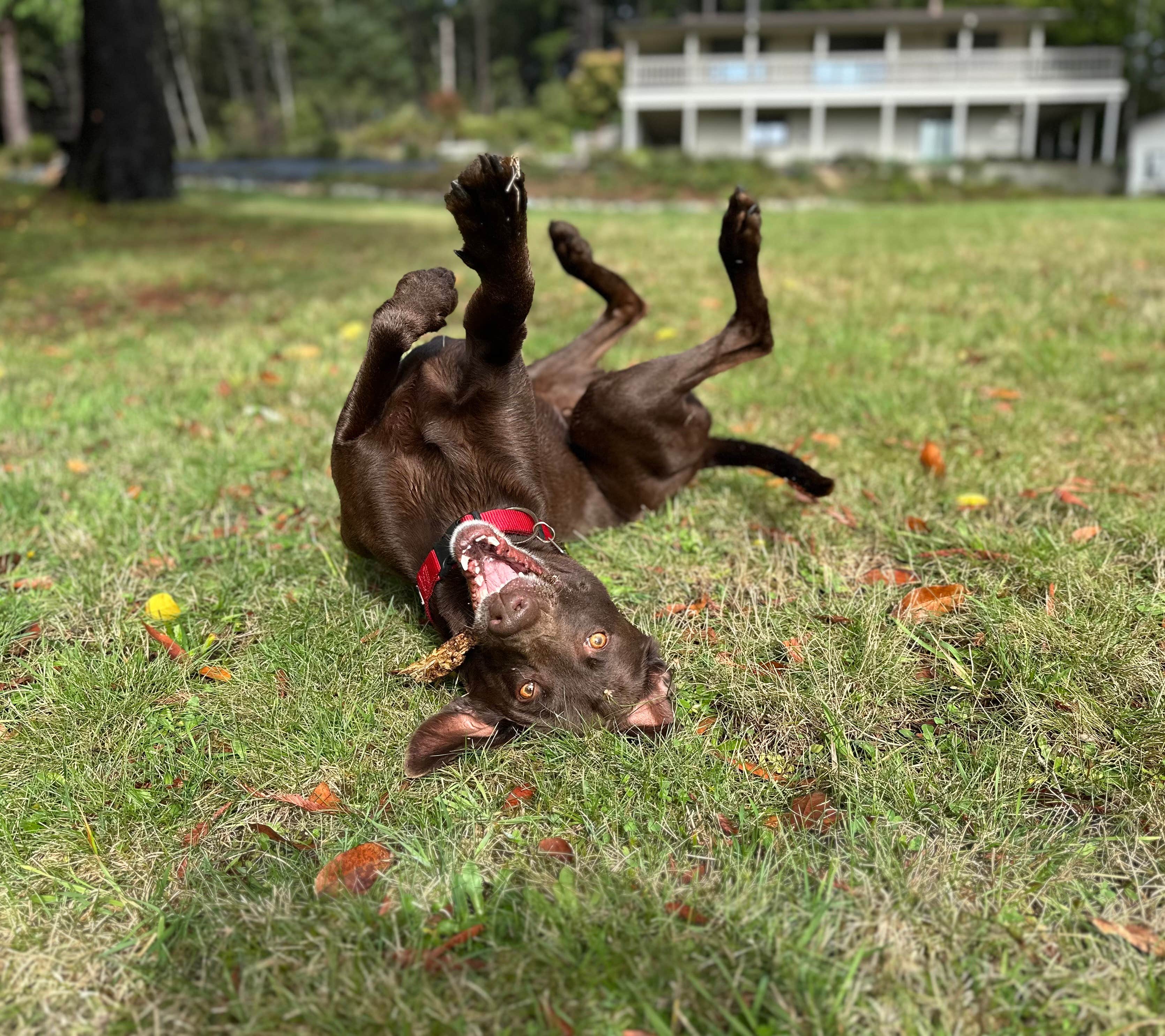 Camper submitted image from Peaceful Views at Sam Boardman - 1