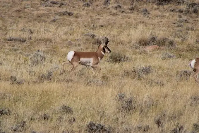 Camper-submitted photo at Bighorn View RV Campground near Story, WY
