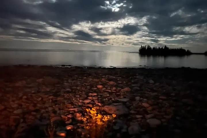 Camper submitted image from Lake Huron frontage campsite - 1