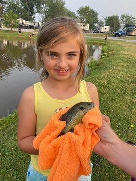 Camper-submitted photo at Hershey Road Campground near Elizabethtown, PA
