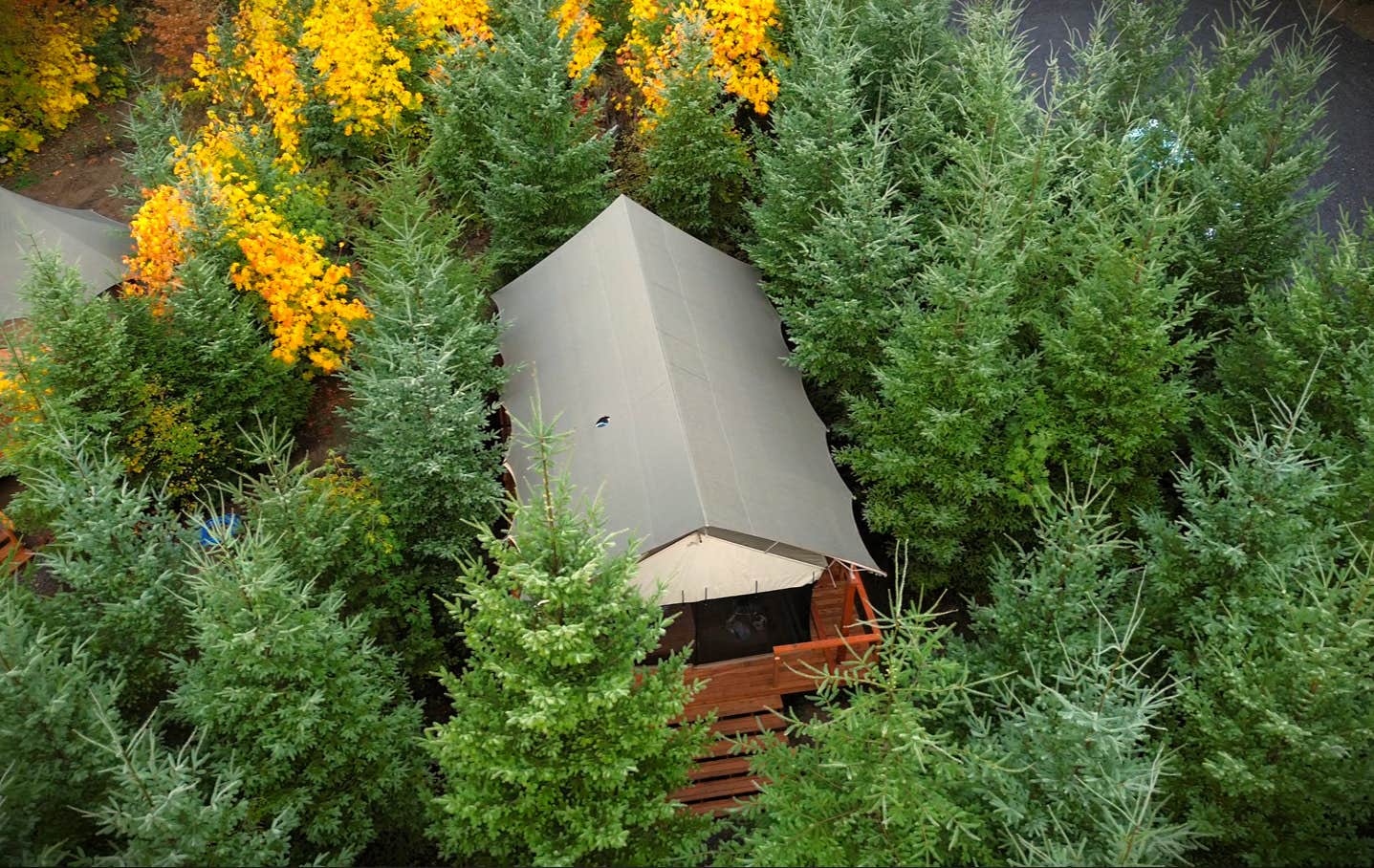 The Dyrt's photo of tent camping at Columbia Gorge Getaways near Portland, OR
