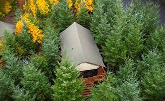 The Dyrt's photo of tent camping at Columbia Gorge Getaways near La Center, WA