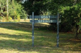 Camper submitted image from Vogt Springs Retreat - 1