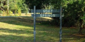 Camper submitted image from Vogt Springs Retreat