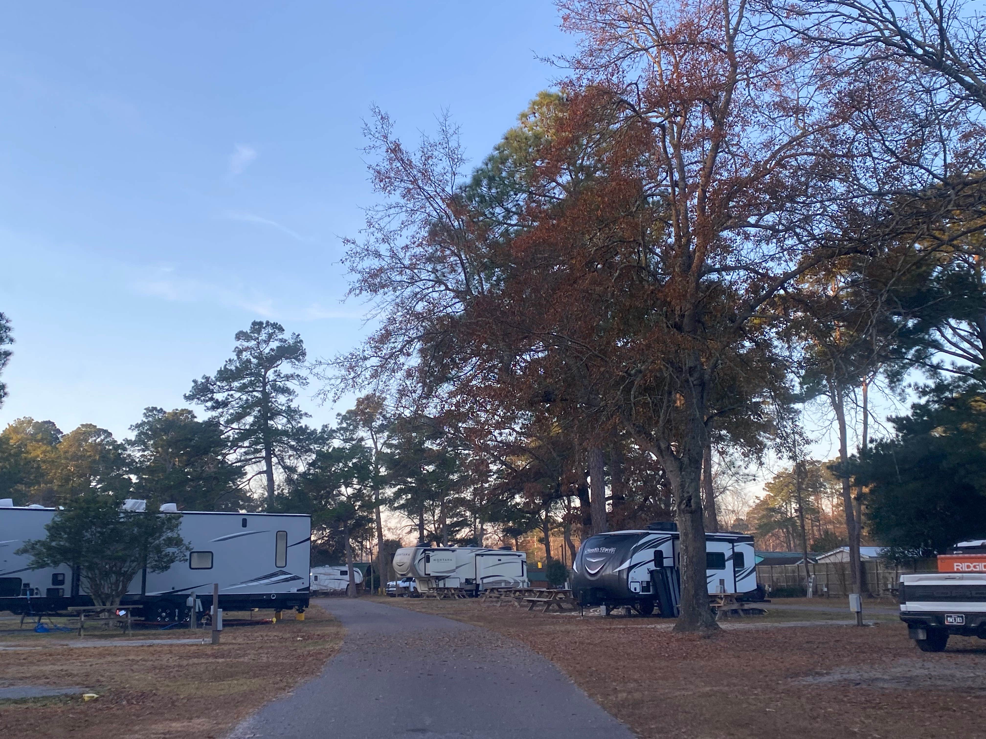 Camper-submitted photo at Charleston KOA near Awendaw, SC
