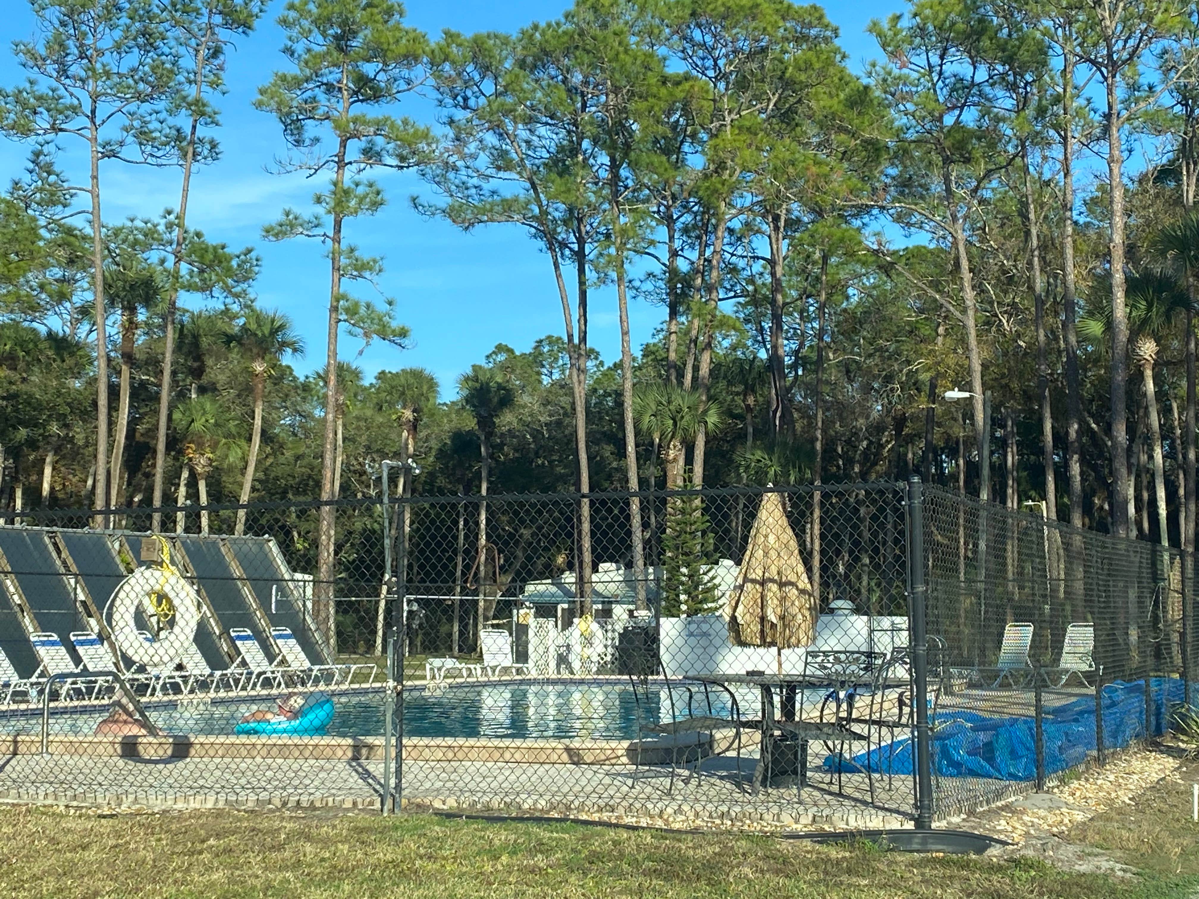 Camper submitted image from Christmas RV Park - 2