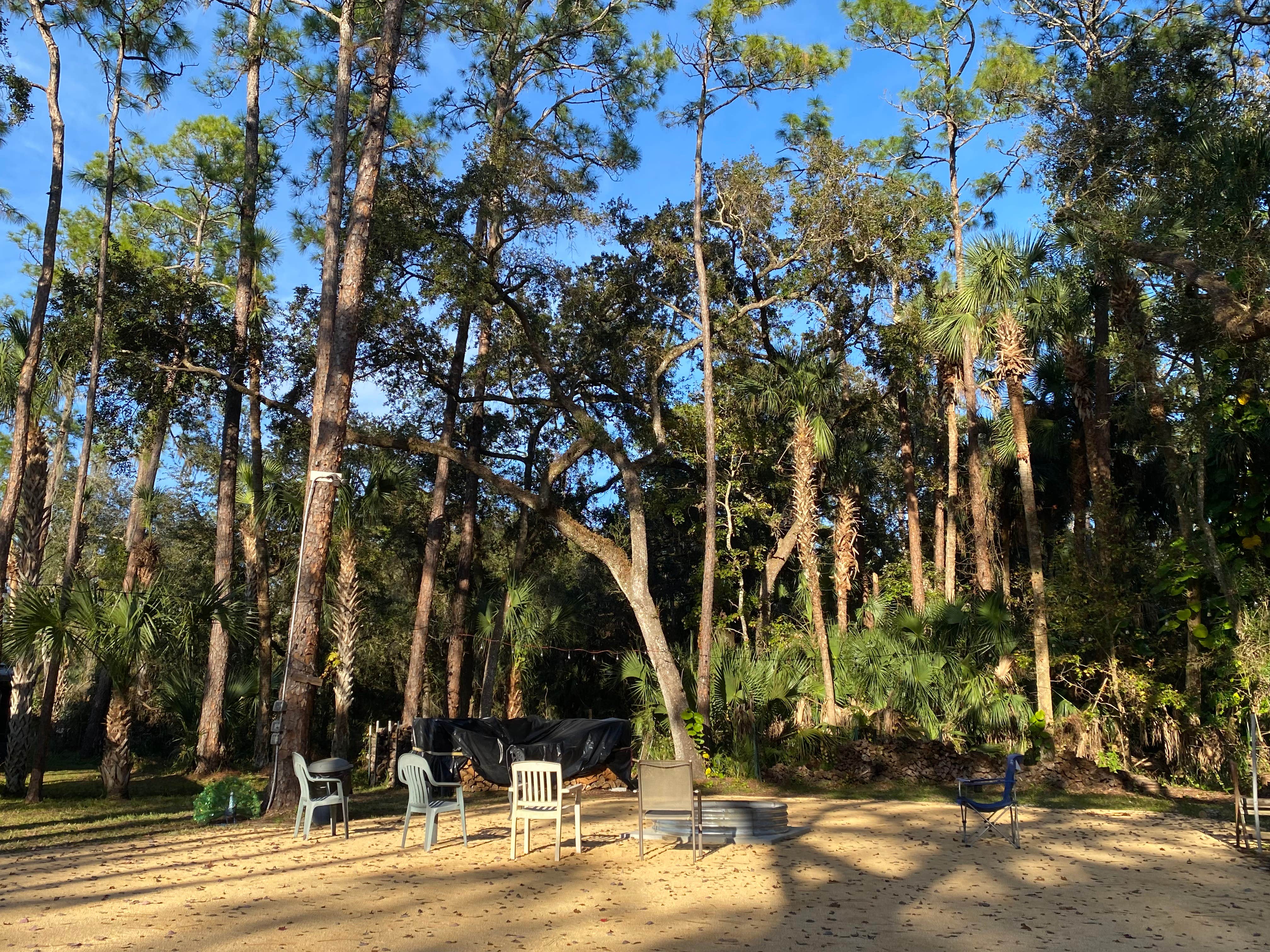 Camper-submitted photo at Christmas RV Park near Titusville, FL