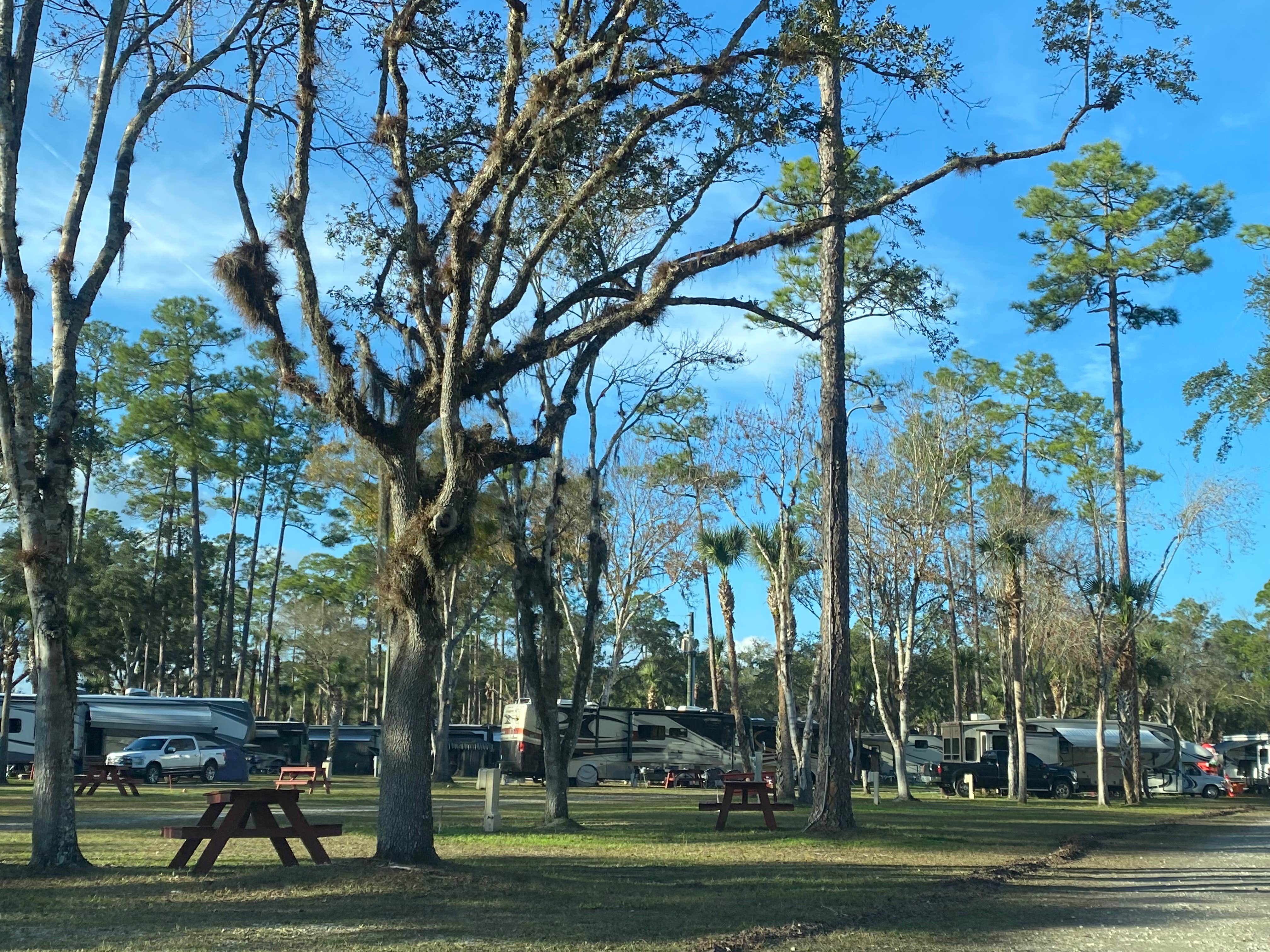 Camper-submitted photo at Christmas RV Park near Titusville, FL