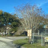 Review photo of Cracker Barrel — Titusville by Maria Mercedes M., January 31, 2026