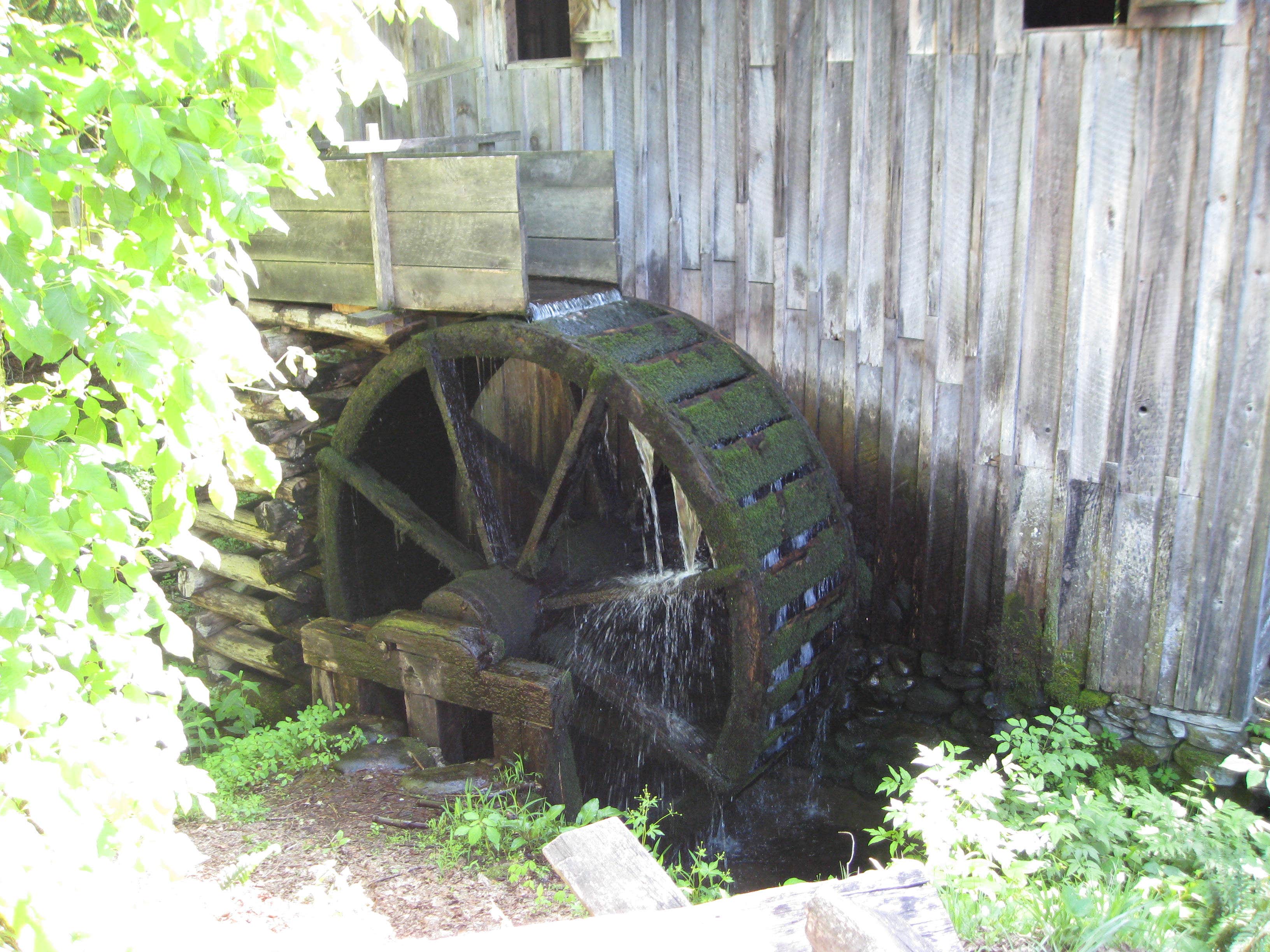 Michael K.'s photo of camping with pets at Smokemont Campground — Great Smoky Mountains National Park near Cherokee, NC