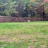 Review photo of Bourbon Springs RV Resort by MickandKarla W., February 1, 2026