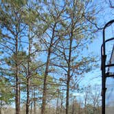 Review photo of Spacious Skies Sandy Run by Mike A., February 1, 2026