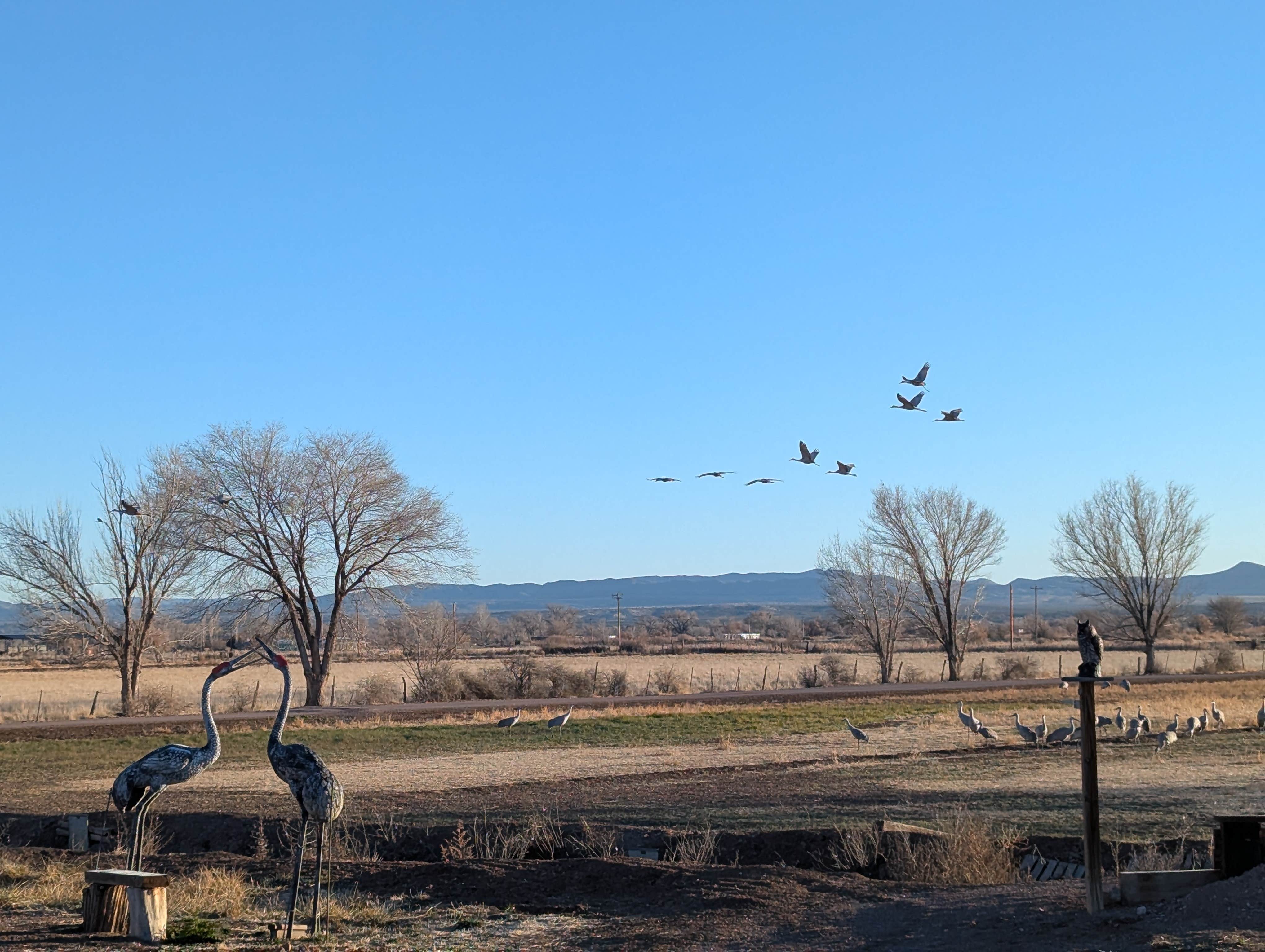 Camper-submitted photo at Chupadero Mountainview RV Park near Socorro, NM