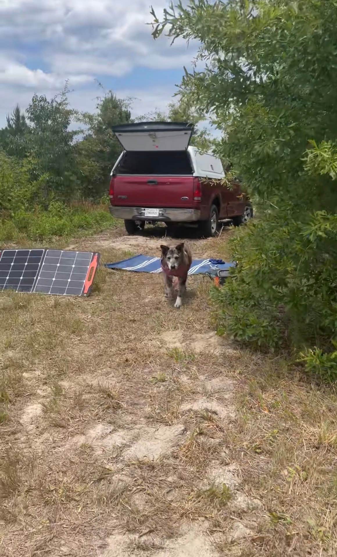 Camper submitted image from Abby’s 10 Acres - 1