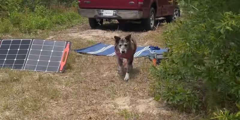 Camper submitted image from Abby’s 10 Acres