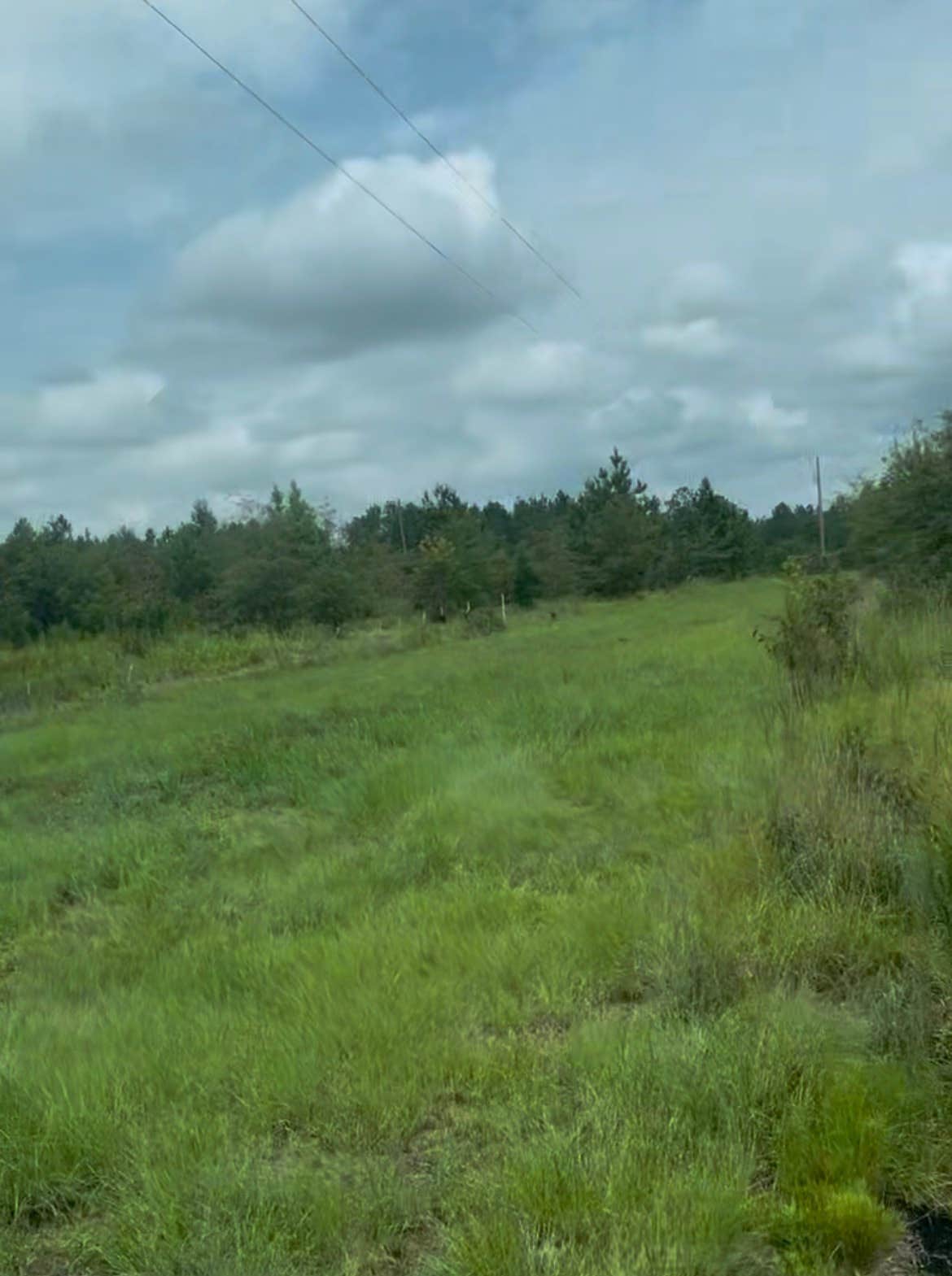 Camper-submitted photo at Abby’s 10 Acres near Swainsboro, GA