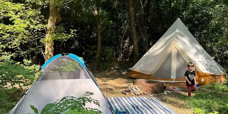 Camper submitted image from PSquared Farm