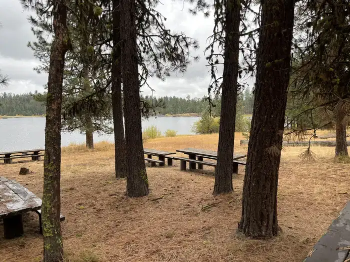 Camping near Buck Spring: Delintment Lake — Malheur National Forest, Burns, Oregon