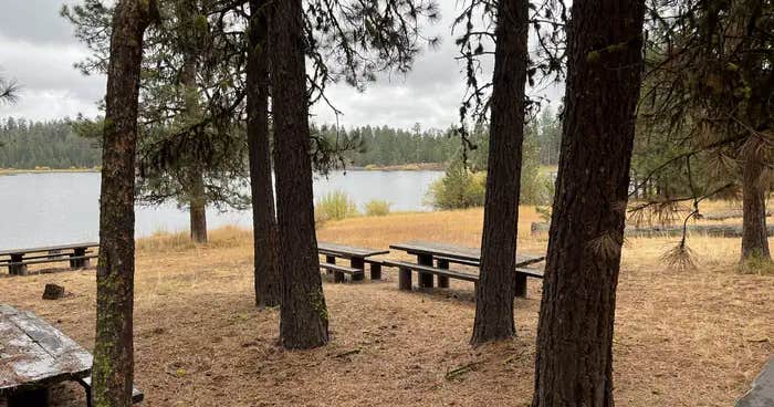 Delintment Lake — Malheur National Forest