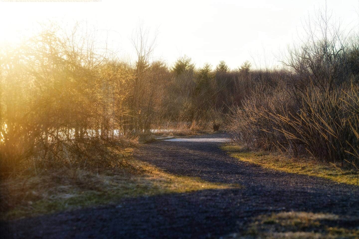 Camper submitted image from Bicyclist's Paradise - 2